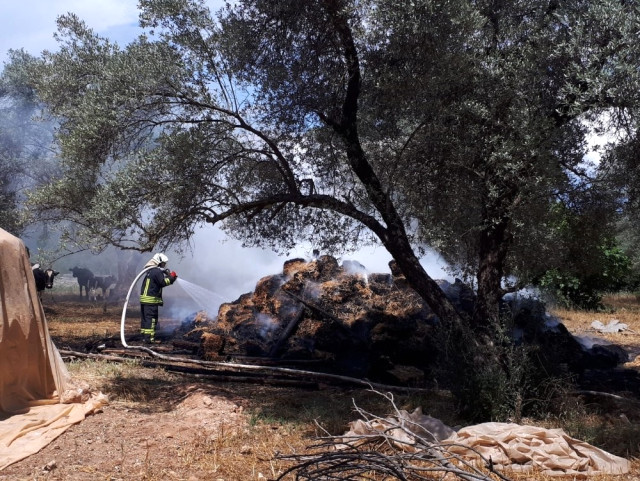 Seydikemer’de Saman Balyaları Alev Alev Yandı