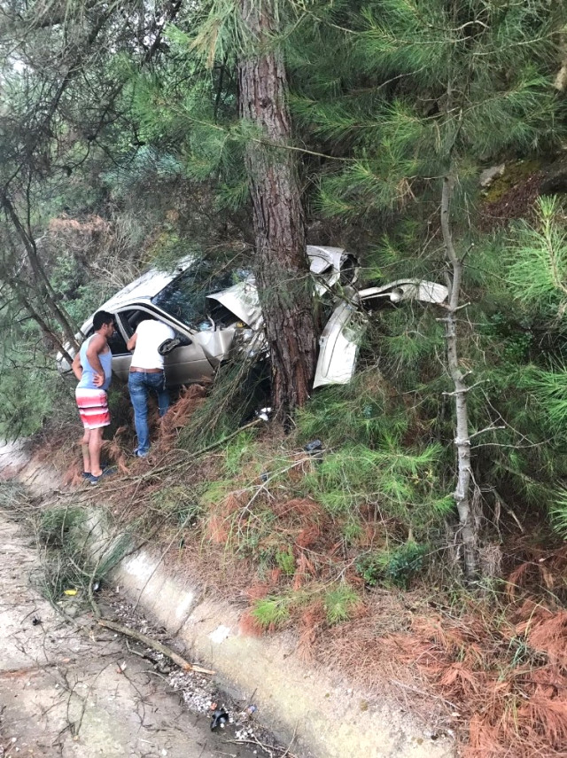 Alkollü Sürücü Ağaca Çarptı