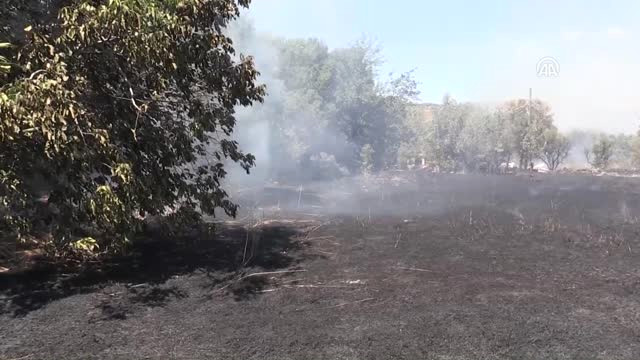 Bodrum’da Otluk Alanda Yangın