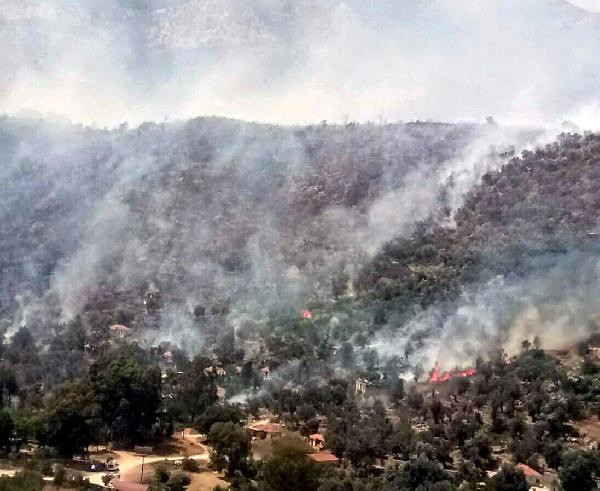 Seydikemer’de Yangın; Alevler Yerleşim Yerine 2 Metre Kala Söndürüldü