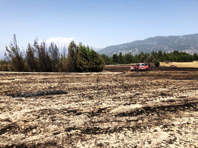 Seydikemer’deki Çıkan Yangın 2 Hektar Alan Zarar Gördü