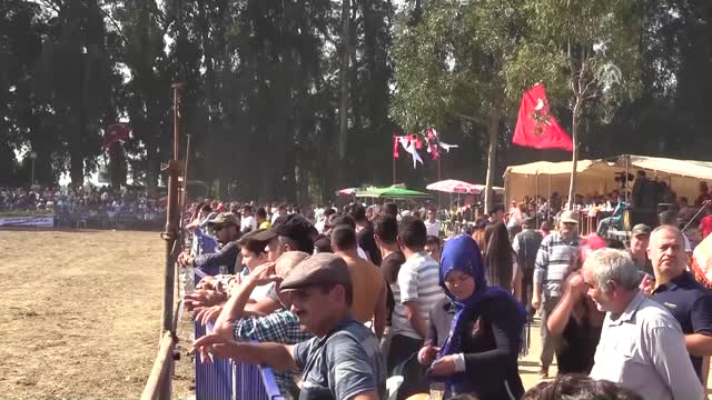 Muğla’da Boğa Güreşi Festivali Yapıldı