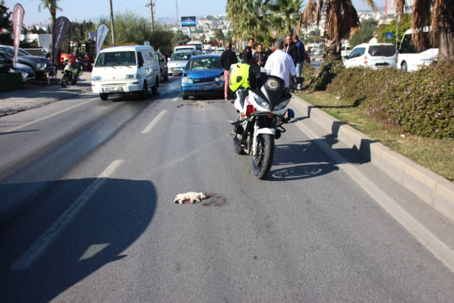 Kediye Çarpmamak İçin 6 Araç Birbirine Girdi