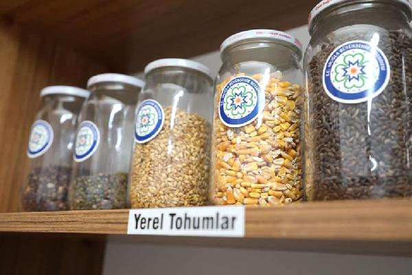 Muğla’nın Yöresel Tohumları Koruma Altında