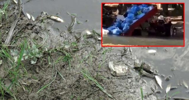 Kütahya’da bir şahıs çöp dolu onlarca poşeti traktör kasasından nehre döktü