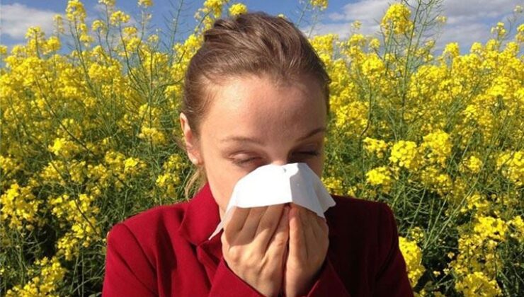 Uzmanından ‘polen alerjisi’ne karşı ihtar