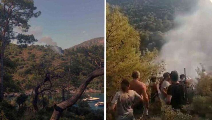 Fethiye’de orman yangını