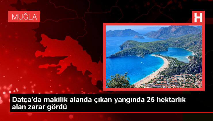 Muğla’nın Datça ilçesinde 25 hektarlık alan yanan yangın denetim altına alındı