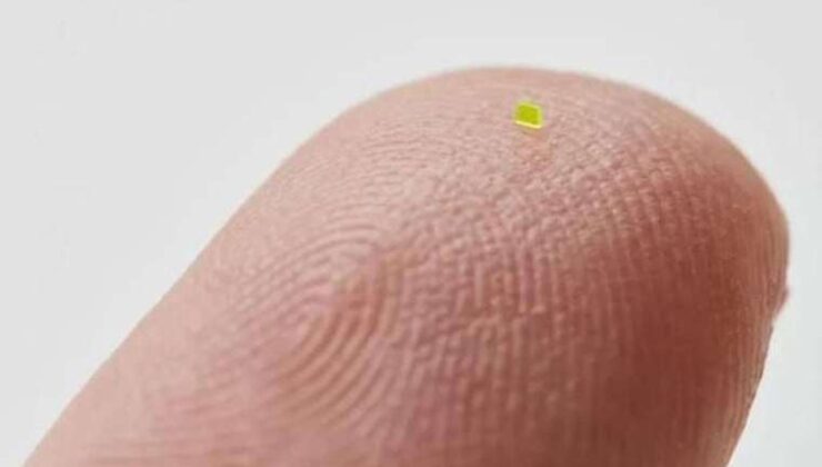 ‘Tuz adedinden küçük’ mikroskobik el çantası 63 bin 750 dolara satıldı