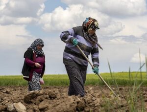 ‘Çiftçinin arazi gereksiniminden çok, girdi maliyetlerinin azaltılmasına muhtaçlığı var’