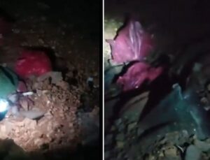 Niğde’den sonra Altındağ’da da köpekler öldürüldü: ‘Binlerce köpek öldürülmüş’