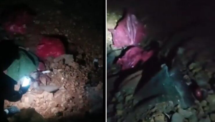 Niğde’den sonra Altındağ’da da köpekler öldürüldü: ‘Binlerce köpek öldürülmüş’