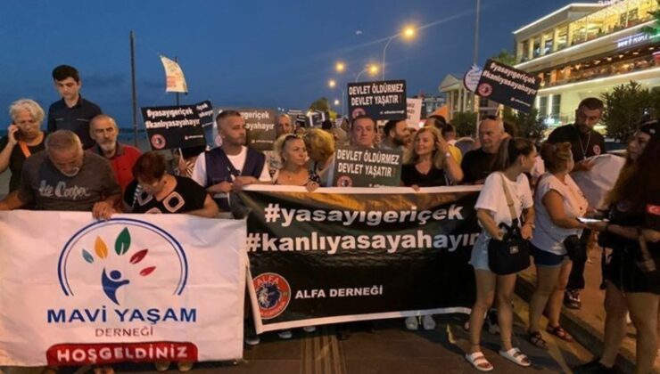 Samsun’da ömür savunucuları ayakta: Sokak hayvanları katliamı yapanların iki yakası bir ortaya gelmeyecek