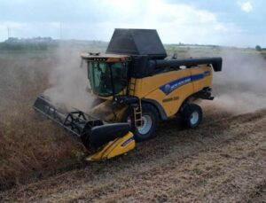 Adana’da hasat başladı: Ekim alanı gitgide azalıyor! 150 bin ton rekolte bekleniyor…