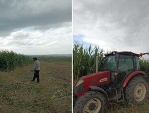 Kars’ta hasat başladı: Yüksek randıman bekleniyor