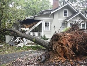 10 yıldır kayıp olan alyansı kasırga geri getirdi