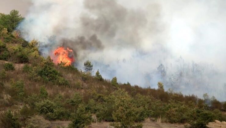 Afyonkarahisar’da orman yangını