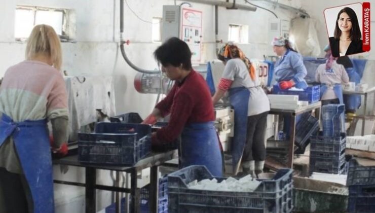 İş hayatında karanlık tablo… Dört bayandan biri cinsel şiddete uğruyor!