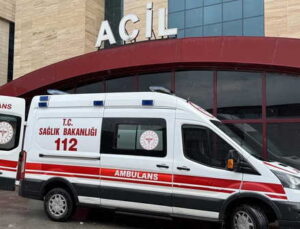 İstanbul’da, 123 bin 538 kişi kuduz riskiyle müracaat yaptı: ‘Son kuduz olayı 2007’de görüldü, tamamı önlem emelli aşılar’