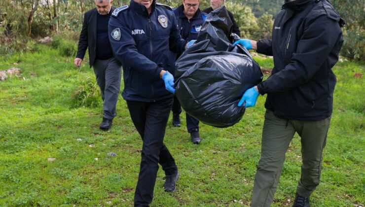 Buca’da hayvan vefatlarında zehirlenme tespit edildi