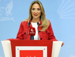 CHP’li Nazlıaka: ‘Aile yılında 297 kuşkulu vefat, 294 de bayan cinayeti işlendi’