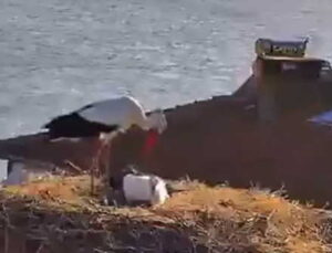 Yaren Leylek, eşi Nazlı ile de buluştu