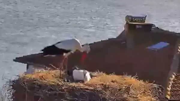 Yaren Leylek, eşi Nazlı ile de buluştu