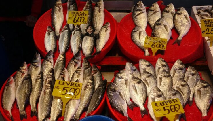 Ne istavrit ne hamsi: Tahtın yeni sahibi muhakkak oldu! Kilosu 300 TL