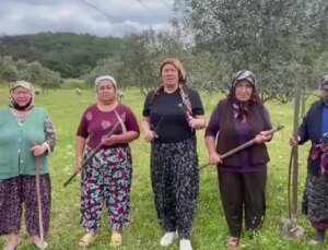 Akbelen’de 1 Mayıs açıklaması: ‘Esra Işık özgür bırakılsın’