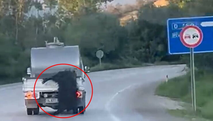 ‘Bu kadar da olmaz!’ dedirten imajlar: Kurbanlık canlı hayvanı araçtan sarkıtıp kilometrelerce sürükledi