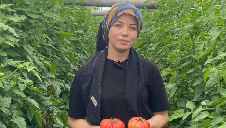 Genç çiftçi birinci hasadını yaptı: 500 kilo mahsul topladı