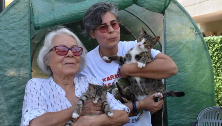 İzmir’de 6 milyonda 1 görülen olay: ‘Erkek kedimiz ‘Cengo’ doğurdu!’